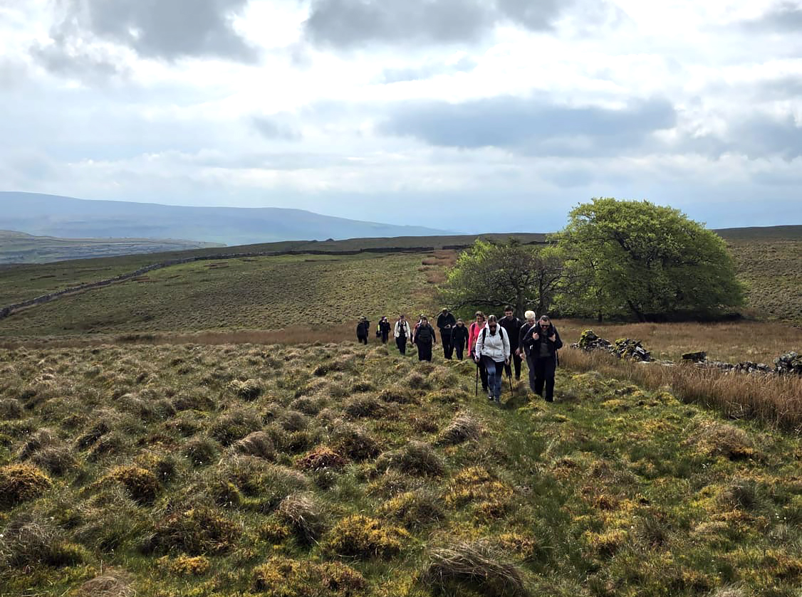 A beautiful landscape with blue, cloudy skies and green shrubs. A group of people are walking towards the camera in the distance.
